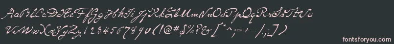 SameSexMarriageScriptLdo Font – Pink Fonts on Black Background