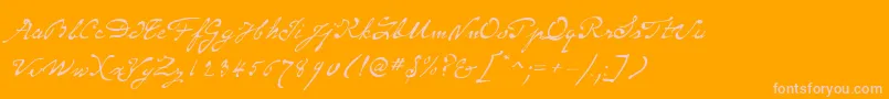 SameSexMarriageScriptLdo Font – Pink Fonts on Orange Background