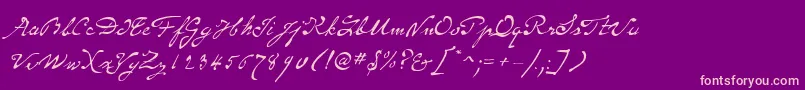 SameSexMarriageScriptLdo Font – Pink Fonts on Purple Background