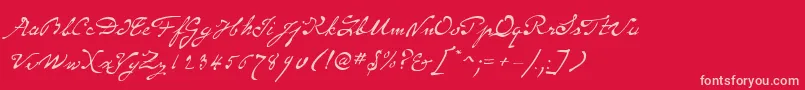 SameSexMarriageScriptLdo Font – Pink Fonts on Red Background