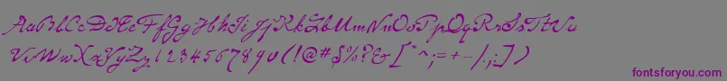 Шрифт SameSexMarriageScriptLdo – фиолетовые шрифты на сером фоне
