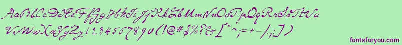 SameSexMarriageScriptLdo Font – Purple Fonts on Green Background