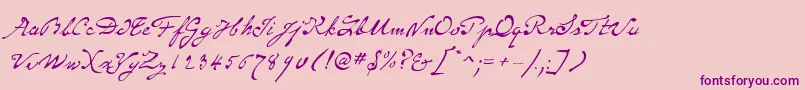 SameSexMarriageScriptLdo Font – Purple Fonts on Pink Background