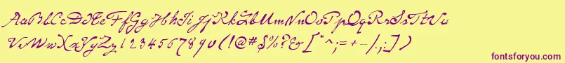 SameSexMarriageScriptLdo Font – Purple Fonts on Yellow Background