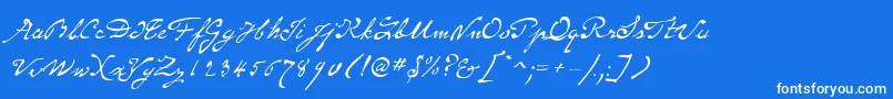 SameSexMarriageScriptLdo Font – White Fonts on Blue Background