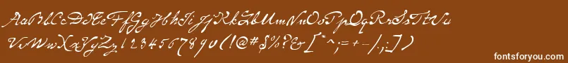 フォントSameSexMarriageScriptLdo – 茶色の背景に白い文字