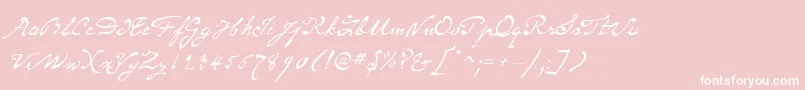 フォントSameSexMarriageScriptLdo – ピンクの背景に白い文字