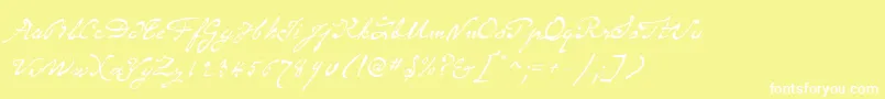 SameSexMarriageScriptLdo Font – White Fonts on Yellow Background