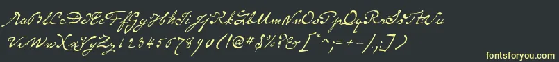 SameSexMarriageScriptLdo Font – Yellow Fonts on Black Background
