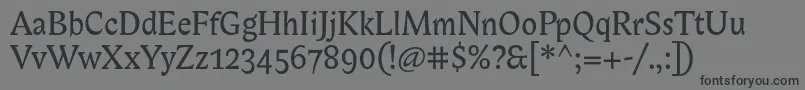 Biblonitc Font – Black Fonts on Gray Background