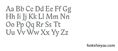Обзор шрифта Biblonitc