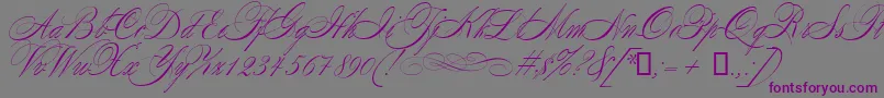 WolfgangAmadeusMozart Font – Purple Fonts on Gray Background