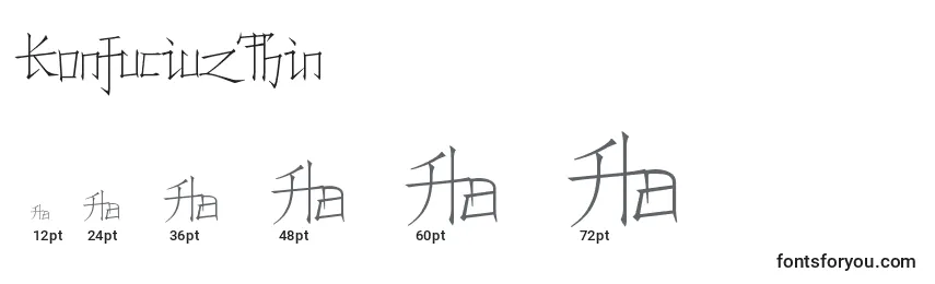Размеры шрифта KonfuciuzThin