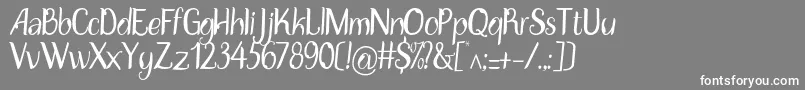 DisguiseDisplayRegular Font – White Fonts on Gray Background