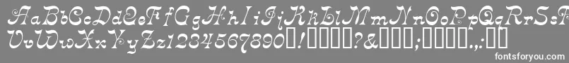 Derniere Font – White Fonts on Gray Background