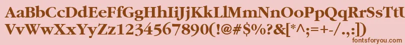 ClassicRussianBold.001.001 Font – Brown Fonts on Pink Background