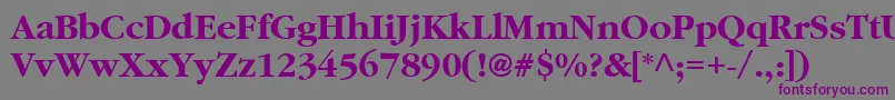 ClassicRussianBold.001.001 Font – Purple Fonts on Gray Background