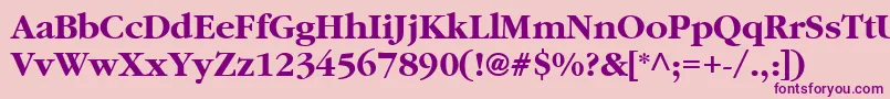 ClassicRussianBold.001.001 Font – Purple Fonts on Pink Background