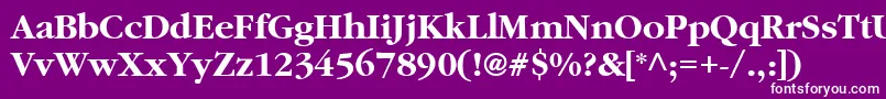 ClassicRussianBold.001.001 Font – White Fonts on Purple Background