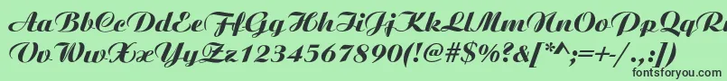 AristonNormalItalic Font – Black Fonts on Green Background
