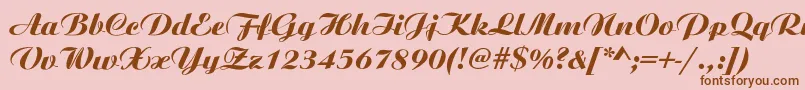 AristonNormalItalic Font – Brown Fonts on Pink Background