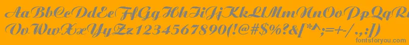 AristonNormalItalic Font – Gray Fonts on Orange Background