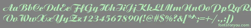 フォントAristonNormalItalic – 灰色の背景に緑のフォント