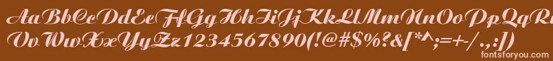 AristonNormalItalic Font – Pink Fonts on Brown Background