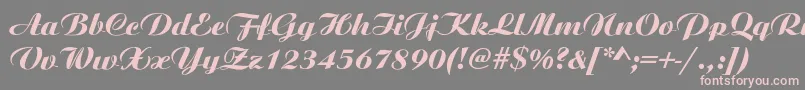 AristonNormalItalic Font – Pink Fonts on Gray Background