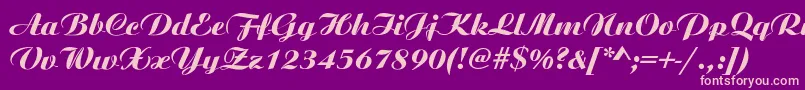 AristonNormalItalic Font – Pink Fonts on Purple Background
