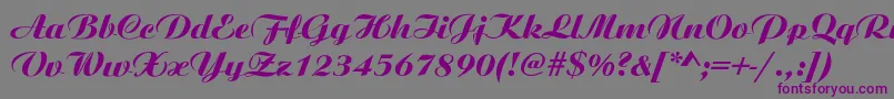 AristonNormalItalic Font – Purple Fonts on Gray Background