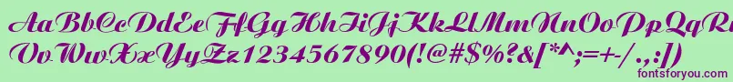 AristonNormalItalic Font – Purple Fonts on Green Background