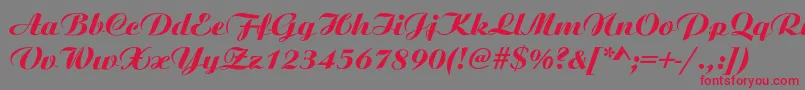 AristonNormalItalic Font – Red Fonts on Gray Background