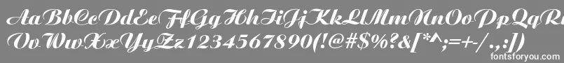 Шрифт AristonNormalItalic – белые шрифты на сером фоне