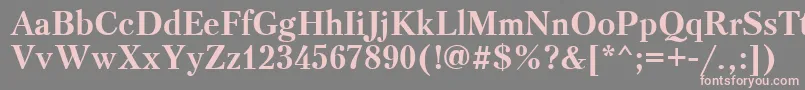 PetersburgcttBold Font – Pink Fonts on Gray Background