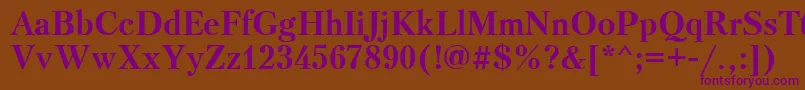 PetersburgcttBold Font – Purple Fonts on Brown Background