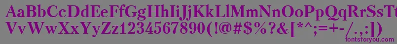 PetersburgcttBold Font – Purple Fonts on Gray Background