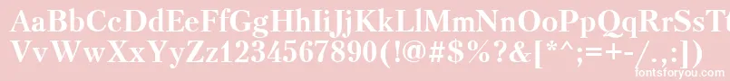 PetersburgcttBold Font – White Fonts on Pink Background