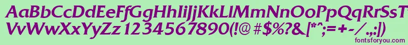 QuadratserialMediumItalic Font – Purple Fonts on Green Background