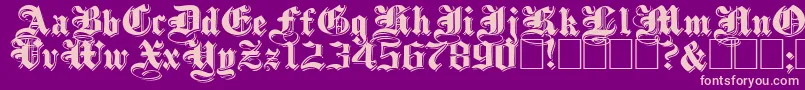 ShadowedblackwideNormal Font – Pink Fonts on Purple Background