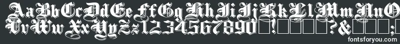 ShadowedblackwideNormal Font – White Fonts on Black Background