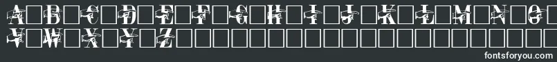 PointerCapsRegular Font – White Fonts on Black Background