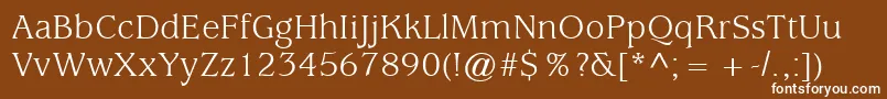 ExpositionSsi Font – White Fonts on Brown Background