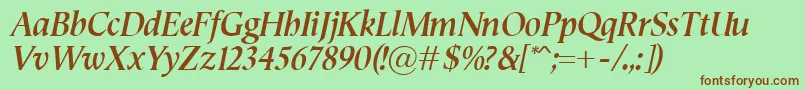 SemperBolditalic Font – Brown Fonts on Green Background