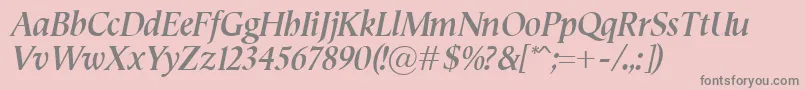 SemperBolditalic Font – Gray Fonts on Pink Background