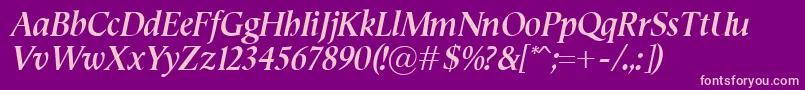 SemperBolditalic Font – Pink Fonts on Purple Background