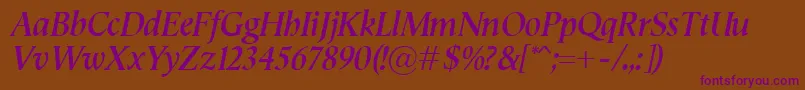 SemperBolditalic Font – Purple Fonts on Brown Background