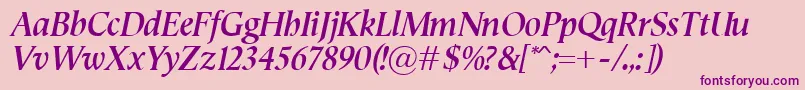 SemperBolditalic Font – Purple Fonts on Pink Background