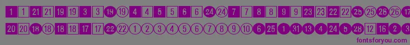 CirclednumbersRegularDb-fontti – violetit fontit harmaalla taustalla