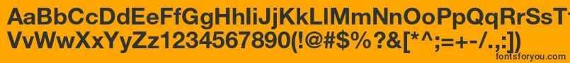 HelveticaneueltstdBd Font – Black Fonts on Orange Background